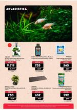 Pet centar akcijski katalog