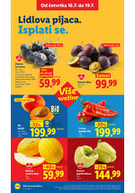 Lidl katalog akcija