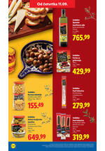 Lidl katalog akcija