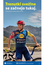 Lidl redni katalog