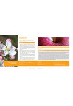 Adama katalog