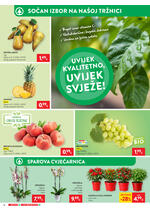 Spar kataloška akcija