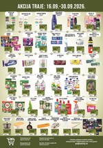 Sinagoga katalog akcija