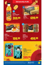 Lidl katalog akcija