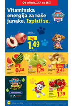 Lidl kataloška akcija