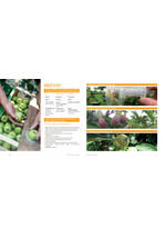 Adama katalog