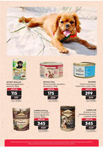 Pet centar akcijski katalog