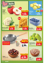 Plodine katalog - Tjedna akcija