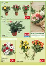 Kaufland online kataloška ponuda