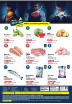 Katalog dokazano