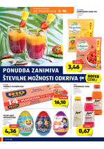 Hofer katalog - Tedenska akcija