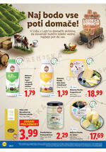 Lidl redni katalog