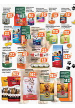 Fortuna market kataloška ponuda