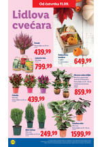 Lidl katalog akcija