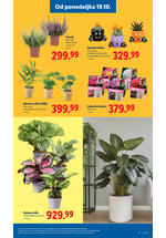 Lidl katalog - Nedeljna akcija
