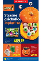 Lidl katalog akcija