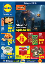 Redni katalog