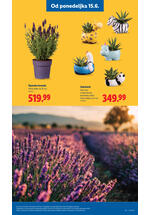 Lidl katalog akcija