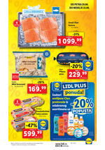 Lidl katalog akcija