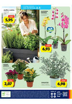 Hofer redni katalog