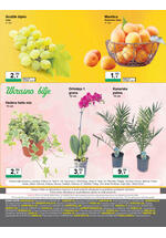 KTC katalog široke potrošnje