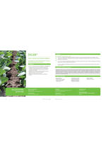 Adama katalog