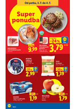 Lidl redni katalog