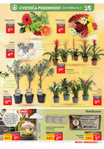 Spar redni katalog