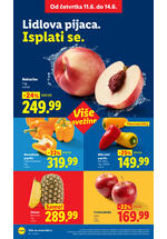 Lidl katalog akcija