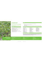 Adama katalog