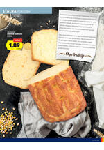 Hofer redni katalog