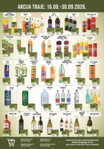 Sinagoga katalog akcija