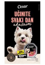 Roda katalog - Naj-naj ponuda za vaše ljubimce