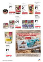 DM mjesečni katalog