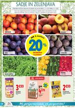 E.Leclerc spletni katalog