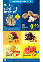 Lidl kataloška akcija