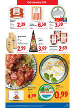 Lidl kataloška akcija