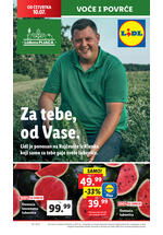 Lidl katalog akcija