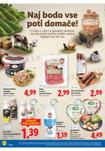 Lidl redni katalog