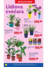 Lidl katalog akcija