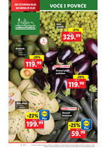 Lidl katalog akcija