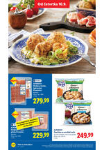 Lidl katalog akcija