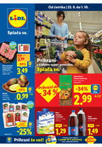 Lidl redni katalog Katalog Akcija