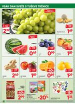 Tuš redni katalog
