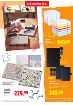 Lidl back to school