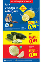 Lidl katalog - Tedenska akcija