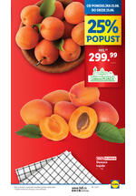 Lidl katalog akcija