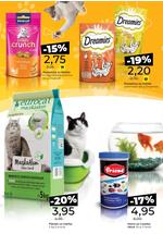 Bingo vav maw ponuda