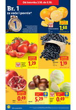 Lidl kataloška akcija
