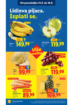 Lidl katalog akcija